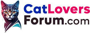 Cat Lovers Forum