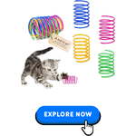 cat-toys-1.png