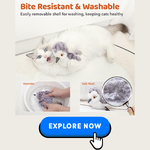 cat-toys-3.png