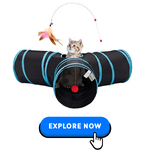 cat-toys-5.png