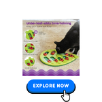 cat-toys-8.png