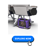 Cat-Carriers-Crates-3.png