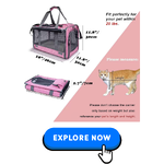 Cat-Carriers-Crates-13.png