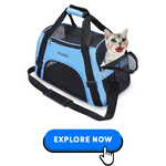 Cat-Carriers-Crates-16.png