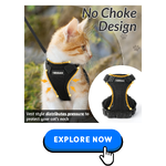 Cat Collars-Harnesses & Leashes-1.png