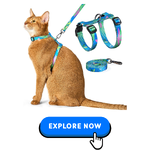 Cat Collars-Harnesses & Leashes-2.png