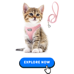 Cat Collars-Harnesses & Leashes-3.png