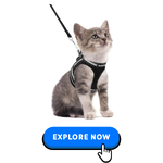 Cat Collars-Harnesses & Leashes-5.png