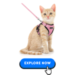 Cat Collars-Harnesses & Leashes-6.png