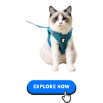 Cat Collars-Harnesses & Leashes-7.png