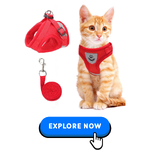 Cat Collars-Harnesses & Leashes-8.png