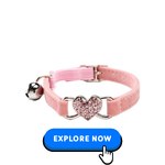 Cat Collars-Harnesses & Leashes-9.png