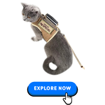 Cat Collars-Harnesses & Leashes-10.png
