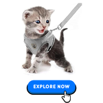 Cat Collars-Harnesses & Leashes-11.png