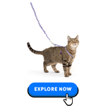 Cat Collars-Harnesses & Leashes-12.png